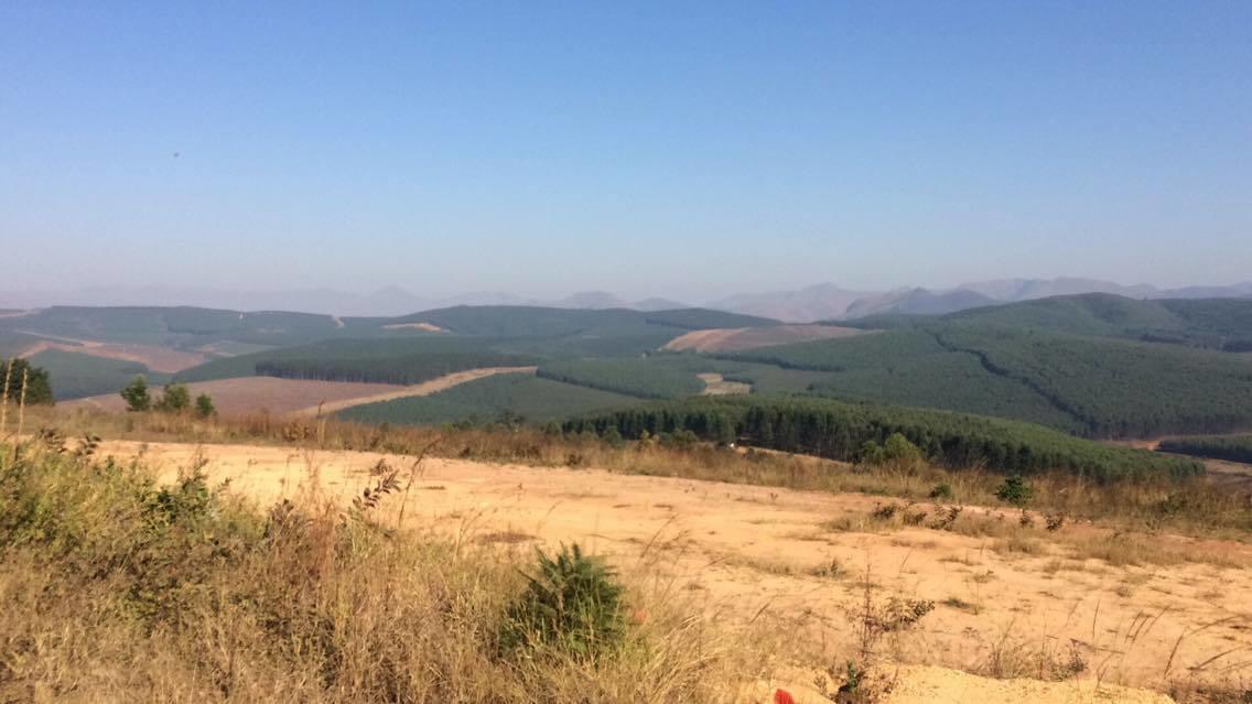 Highlands Inn Hotel Piggs Peak Bagian luar foto
